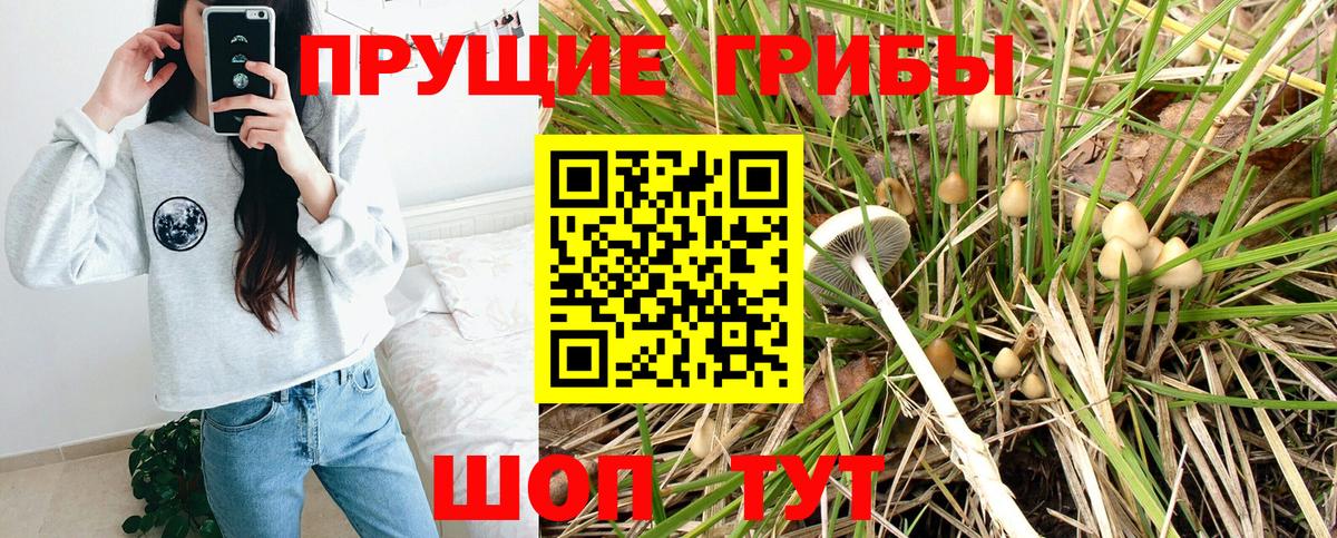 Галлюциногенные грибы прущие грибы Лысьва