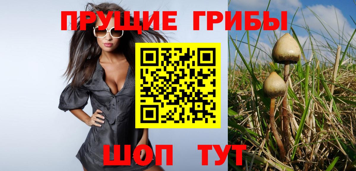 Псилоцибиновые грибы Psilocybine cubensis  Вход с VPN  Псилоцибиновые грибы MAGIC MUSHROOMS  Лысьва 